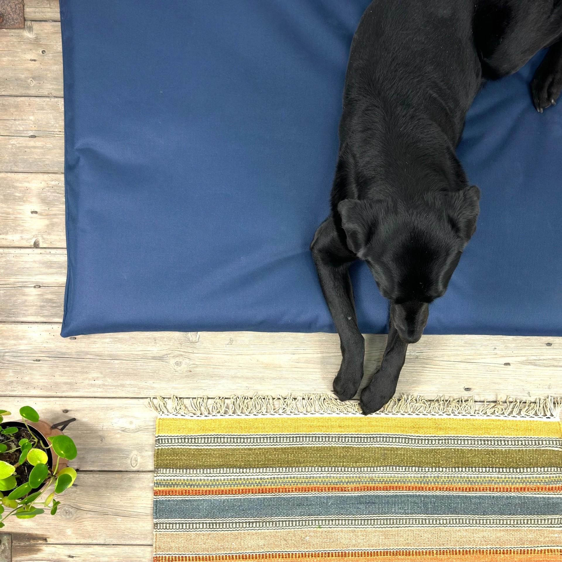 Navy Blue Dog Bed For Cage & Crates Waterproof Hygienic Bedding Mat